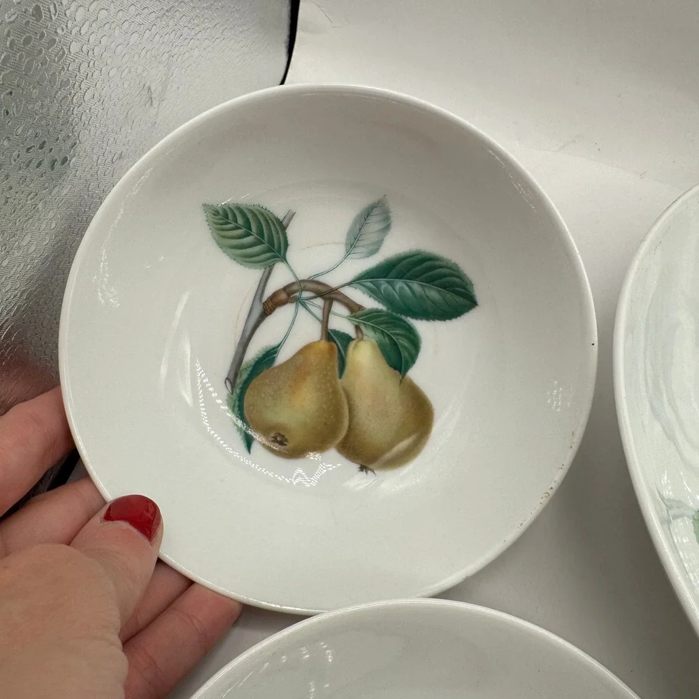 Kaiser Fruit Bowl Set Vintage West Germany Serving Berry Botanical Set of 6